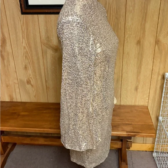 NWT New York & Company Gold Sequin Long Sleeve Dress Size M - Picture 7 of 11